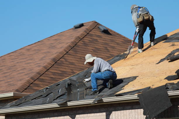 Best Roof Ventilation Installation  in Maywood, IL