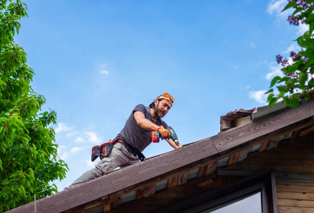  Maywood, IL Roofing services Pros
